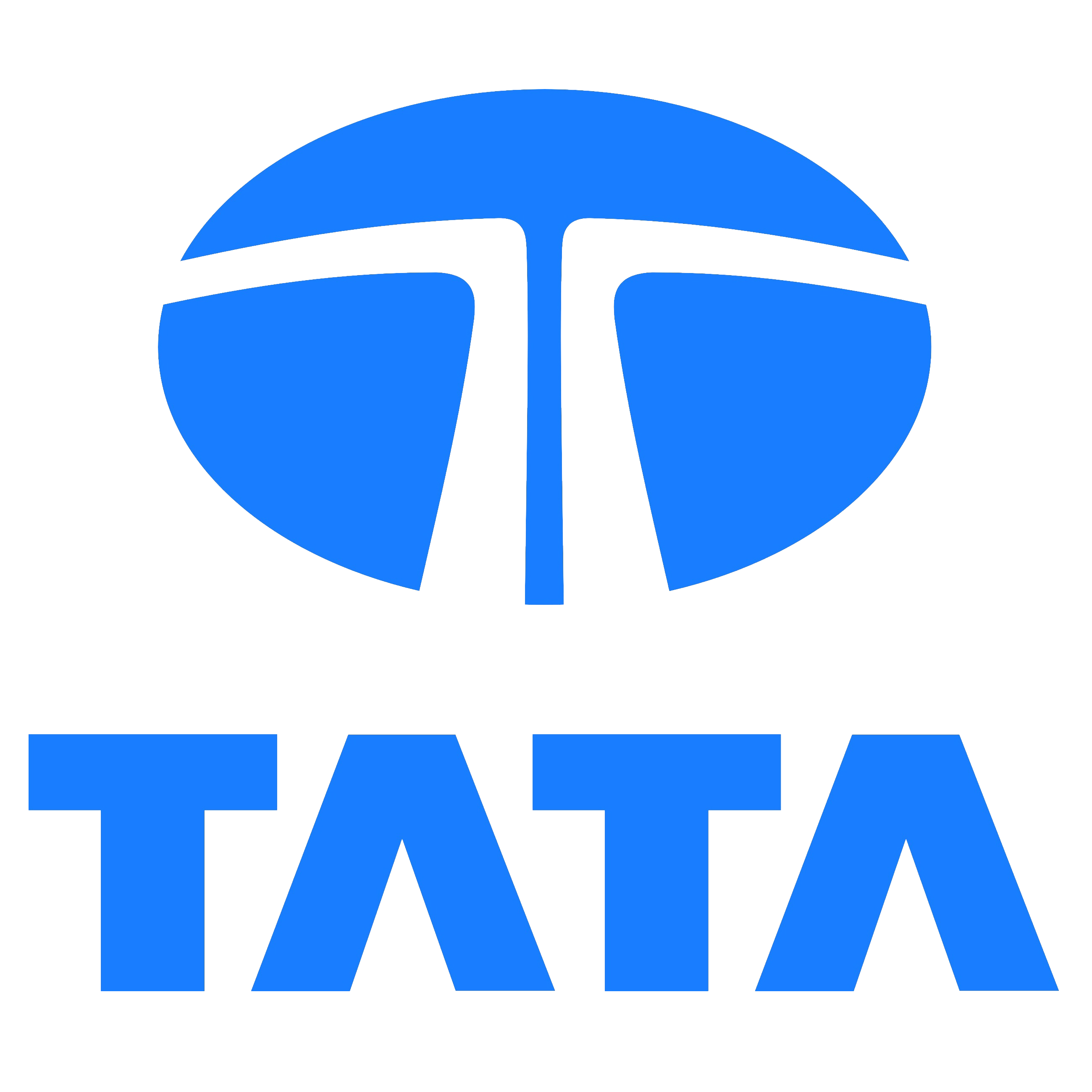 TataMoter
